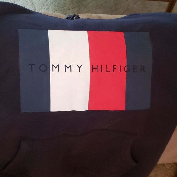 Tommy Hilfiger Soft Blue Hoodie with Color Block Logo Sz L - Picture 1 of 9